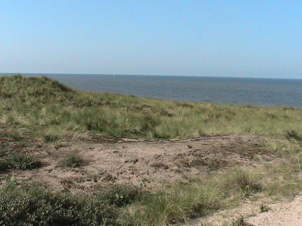Beachroom Zandvoort Kültér fotó